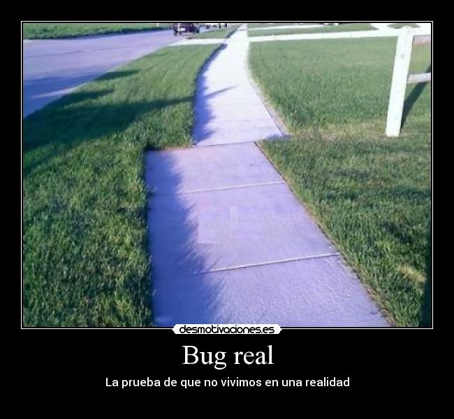 Bug real - 