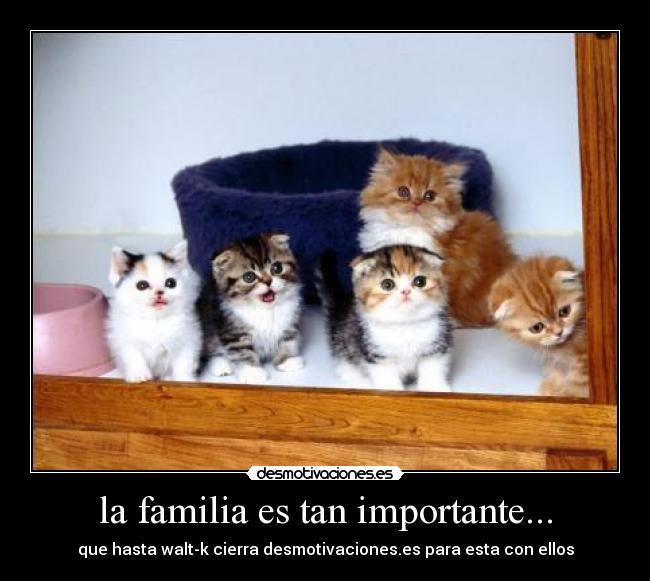 la familia es tan importante... - 