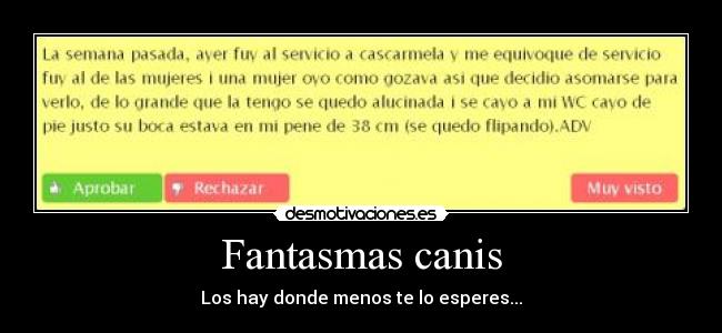 Fantasmas canis -