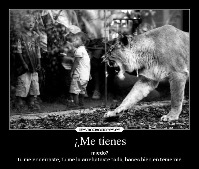 carteles fate desmotivaciones