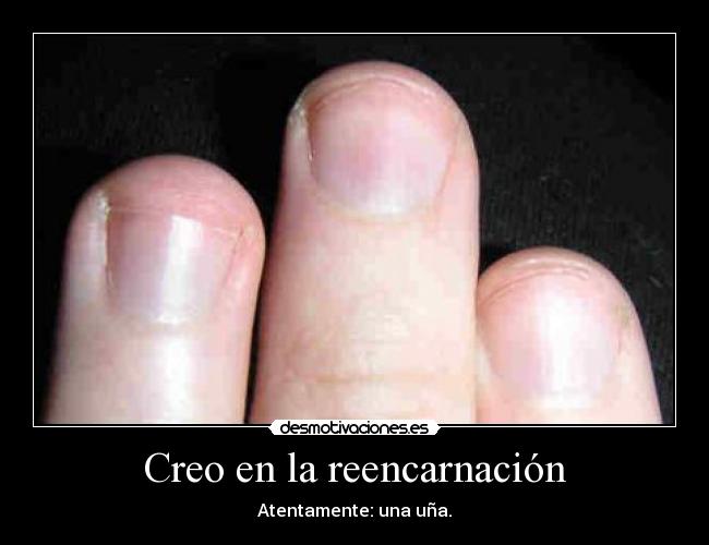 carteles humor desmotivaciones