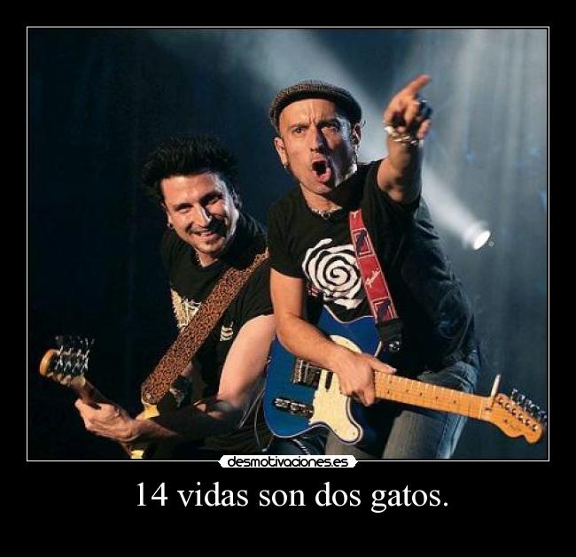 14 vidas son dos gatos. -