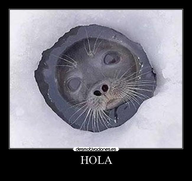 HOLA -