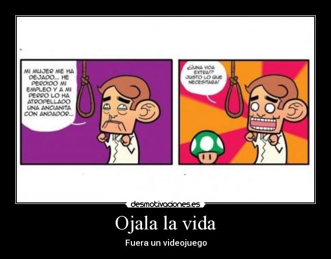 carteles vida vida videojuego desmotivaciones