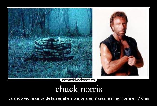 carteles chuck desmotivaciones