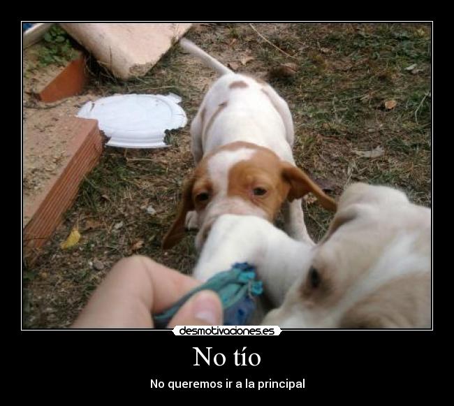 No tío - No queremos ir a la principal