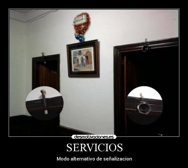SERVICIOS - 