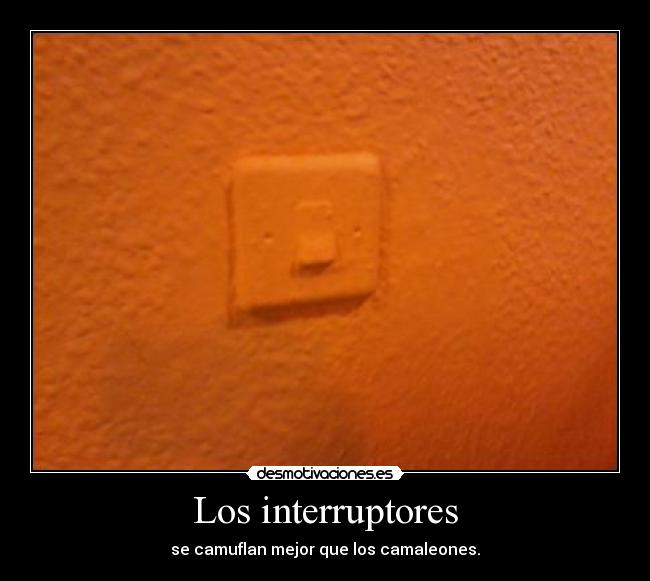 Los interruptores -