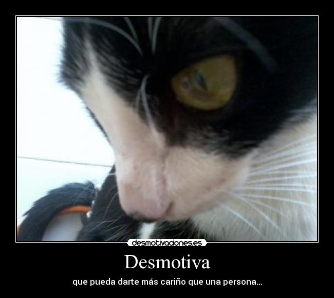 Desmotiva -