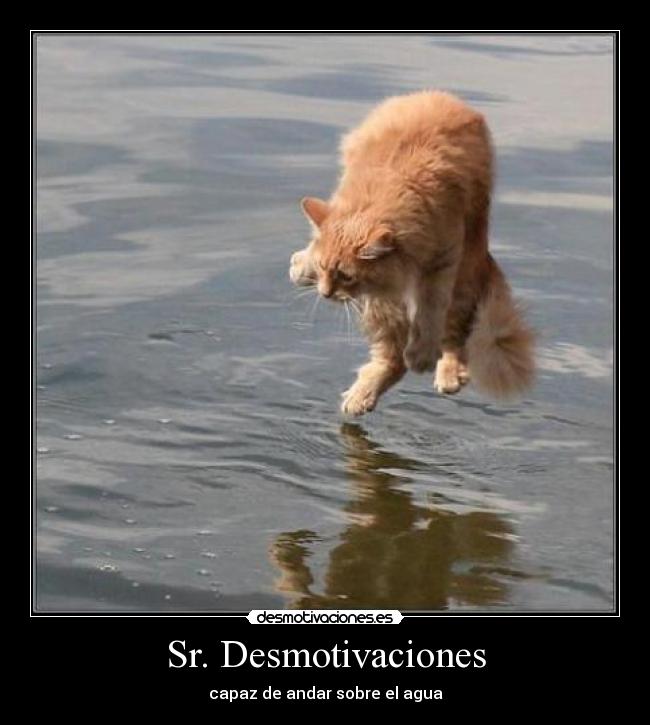 Sr. Desmotivaciones - capaz de andar sobre el agua