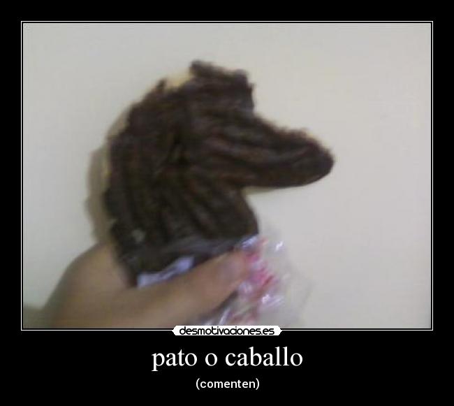 pato o caballo - (comenten)