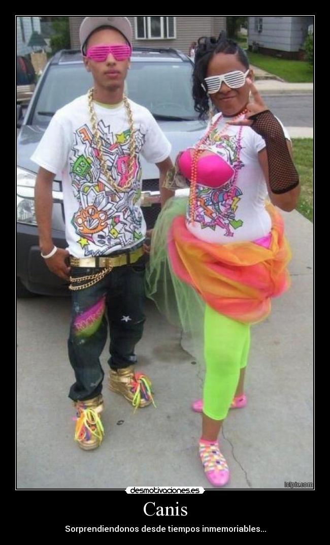 Canis - Sorprendiendonos desde tiempos inmemoriables...