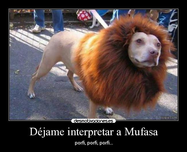 Déjame interpretar a Mufasa - porfi, porfi, porfi...