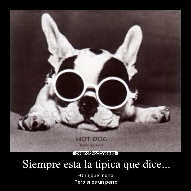 Siempre esta la tipica que dice... - -Ohh,que mono
Pero si es un perro