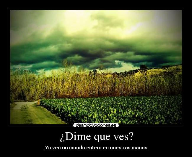 ¿Dime que ves? -