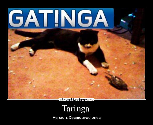 Taringa  - Version: Desmotivaciones