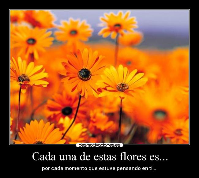 Cada una de estas flores es... - 