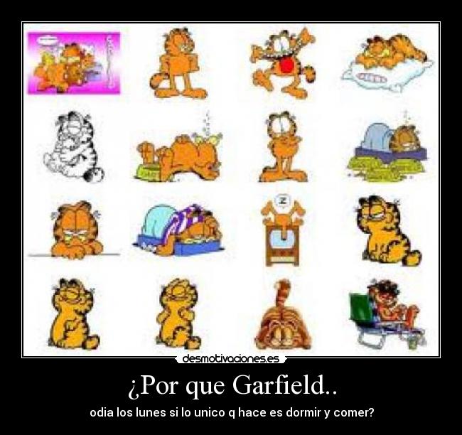 ¿Por que Garfield.. - odia los lunes si lo unico q hace es dormir y comer?