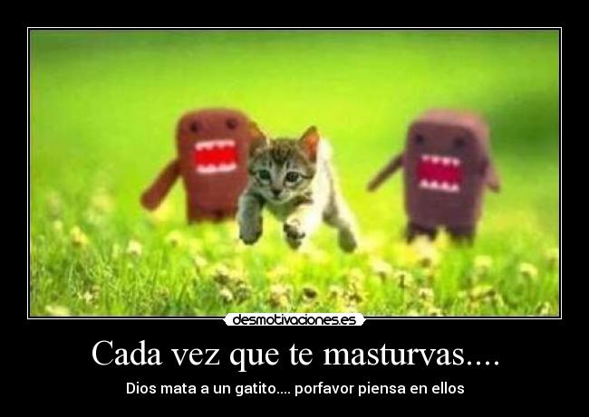 Cada vez que te masturvas.... - Dios mata a un gatito.... porfavor piensa en ellos