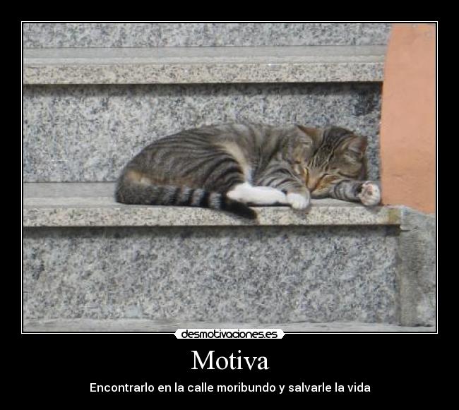 Motiva - Encontrarlo en la calle moribundo y salvarle la vida