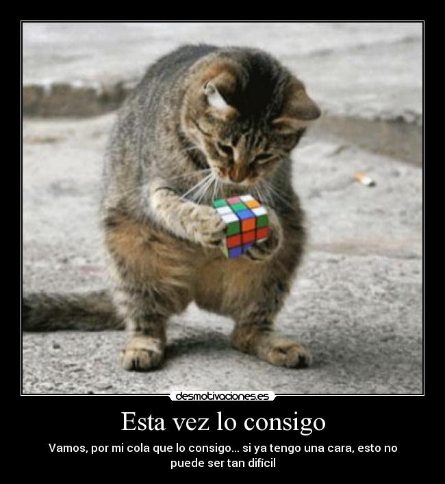 Esta vez lo consigo - Vamos, por mi cola que lo consigo... si ya tengo una cara, esto no puede ser tan difícil