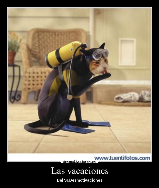 Las vacaciones - Del Sr.Desmotivaciones