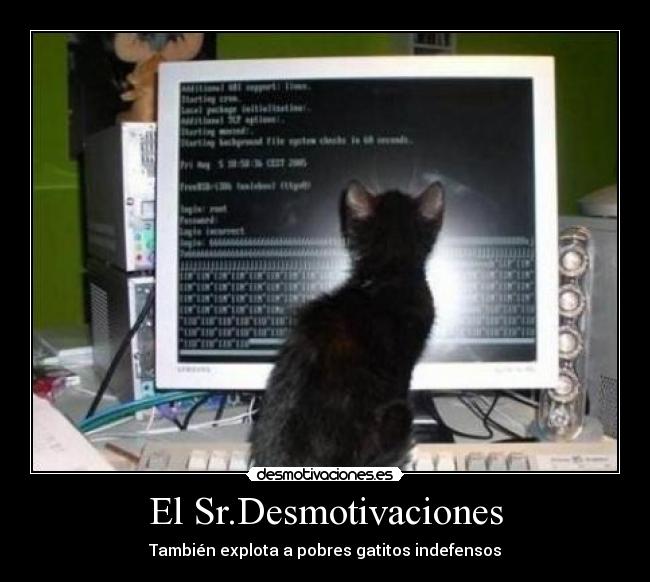 El Sr.Desmotivaciones - También explota a pobres gatitos indefensos
