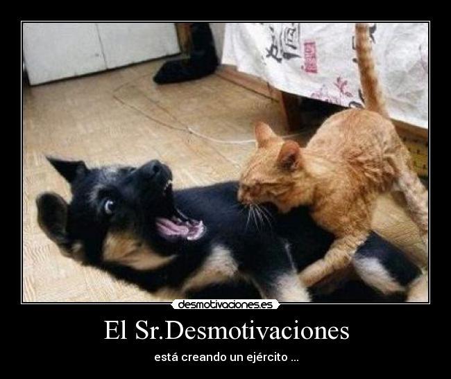 El Sr.Desmotivaciones - está creando un ejército ...