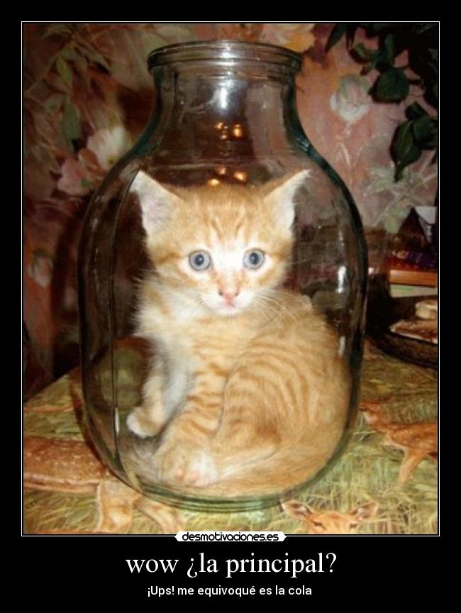 wow ¿la principal? -