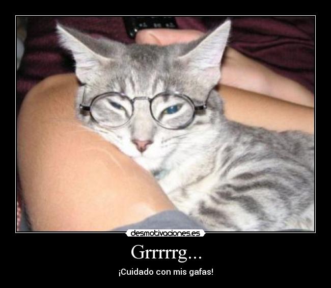 Grrrrrg... - ¡Cuidado con mis gafas!