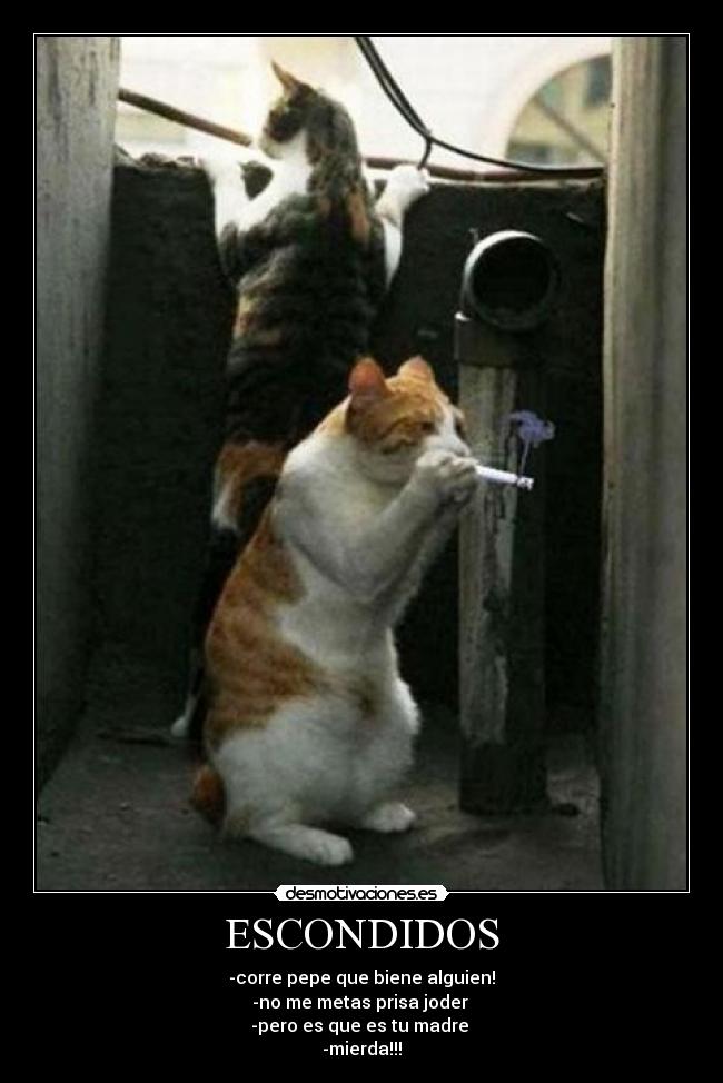 ESCONDIDOS -