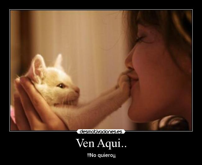 Ven Aqui.. - 