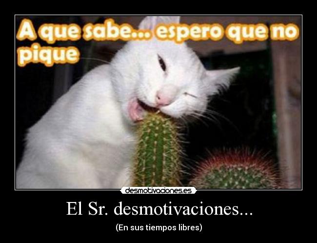 El Sr. desmotivaciones... - (En sus tiempos libres)