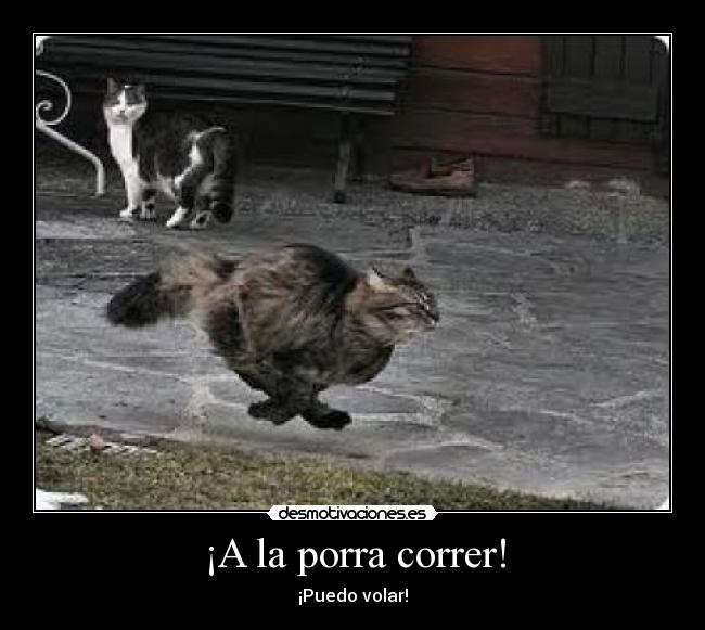 ¡A la porra correr! - 