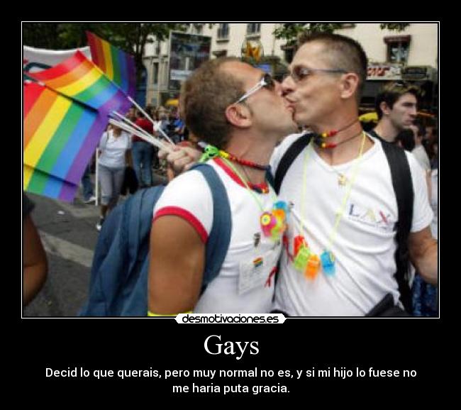 Gays - 