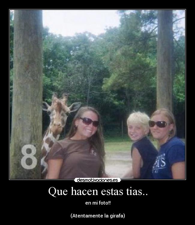 Que hacen estas tias.. - en mi foto!!

(Atentamente la girafa)