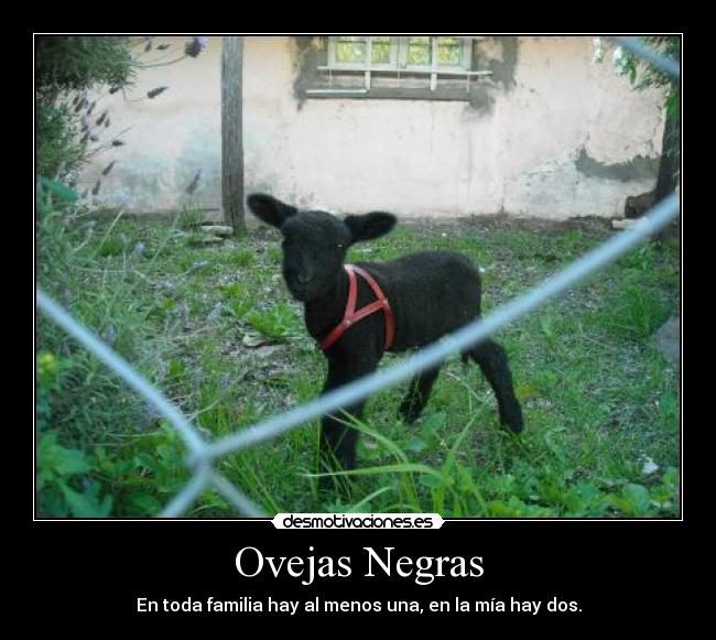 carteles opti desmotivaciones