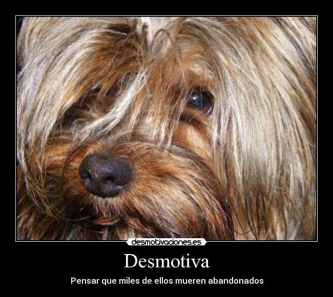 Desmotiva - 