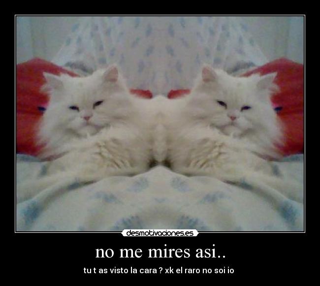 no me mires asi.. -