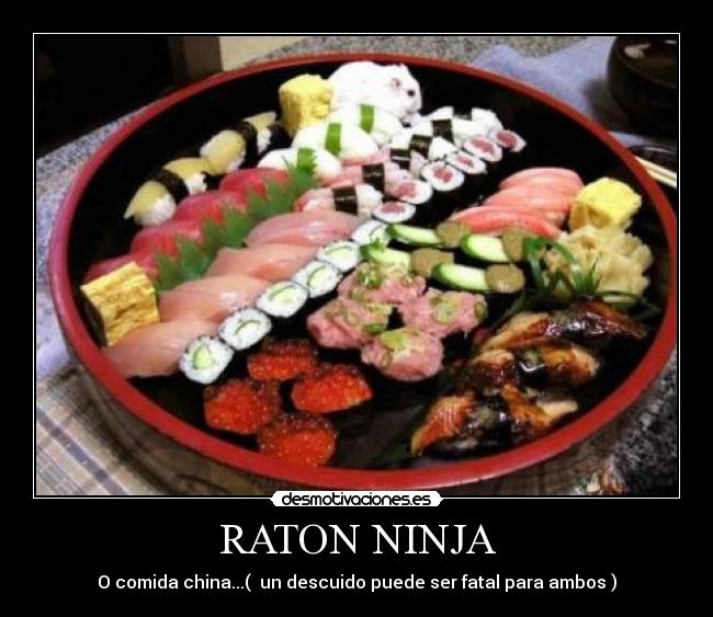 RATON NINJA - 