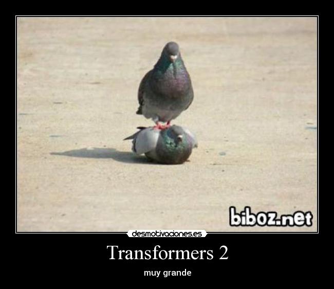 Transformers 2 -