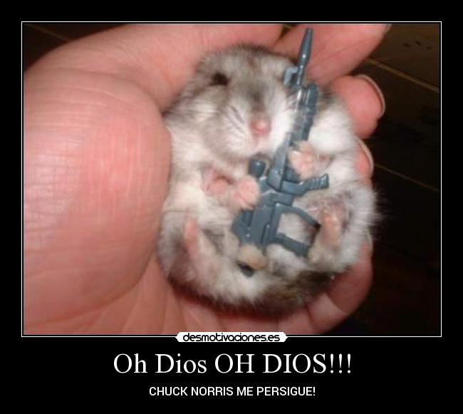 Oh Dios OH DIOS!!! - CHUCK NORRIS ME PERSIGUE!