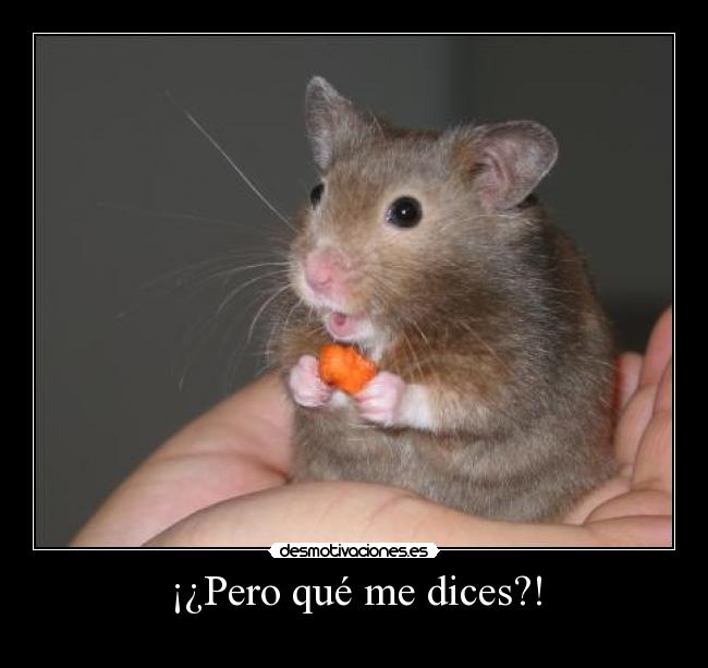 ¡¿Pero qué me dices?! -