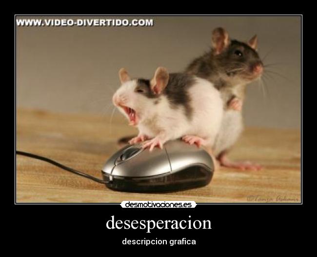 desesperacion -