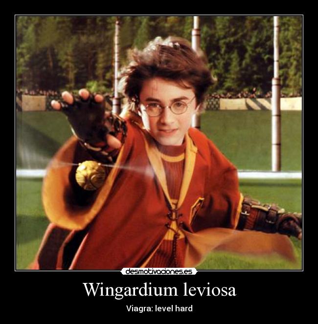 carteles harry desmotivaciones