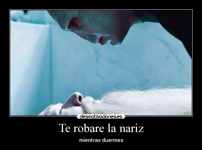 Te robare la nariz - 