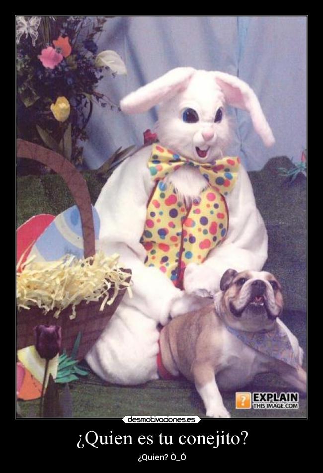 ¿Quien es tu conejito? - 