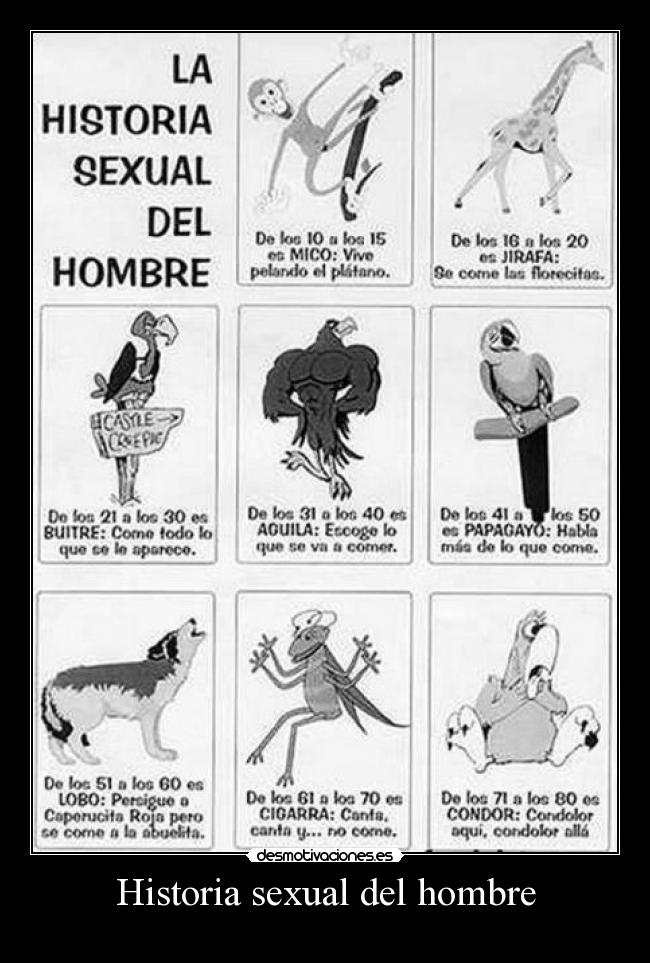 carteles historia historia sexual del hombre desmotivaciones