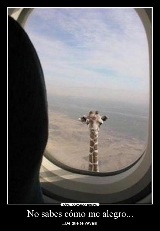 No sabes cómo me alegro... - ...De que te vayas!