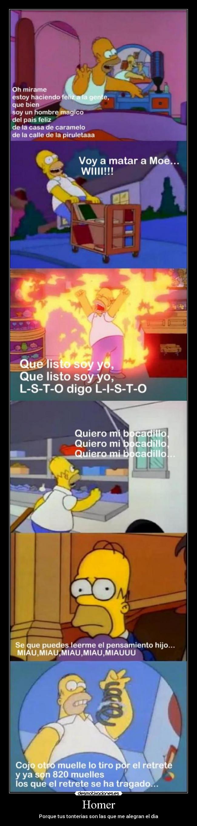 Homer -